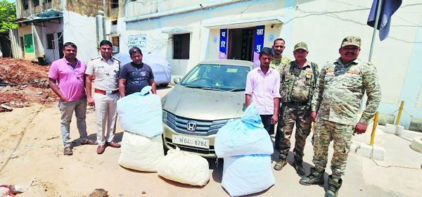 कार से गांजा तस्करी,  बिहार के 2 गिरफ्तार  12 लाख का गांजा समेत कार-मोबाइल जब्त
