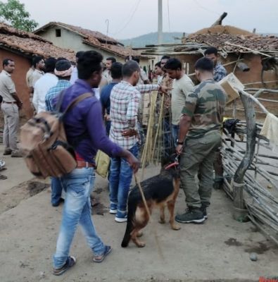 ओडिशा सीमा के गांवों में वन विभाग टीम की दबिश, बाघ की खाल के टुकड़े और कई वन्य प्राणियों के अवशेष बरामद, 5 गिरफ्तार 