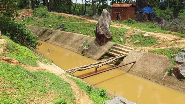 40 घरों की आबादी वाले पहाड़ी कोरवा नहर पर लकड़ी का पुल बनाकर कर रहे आना-जाना