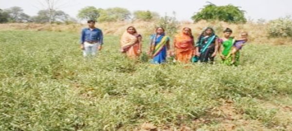 गोधन न्याय योजना से जुडक़र लक्ष्मी स्वसहायता समूह ने अर्जित की 9 लाख से अधिक आय