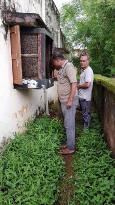 डेंगू से लडऩे निगम का घर-घर अभियान, निगम की टीम कर रही लार्वा की जांच