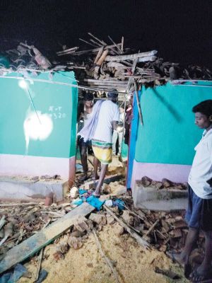 कुकरेल में घुसा हाथी, दो घरों को नुकसान पहुंचाया