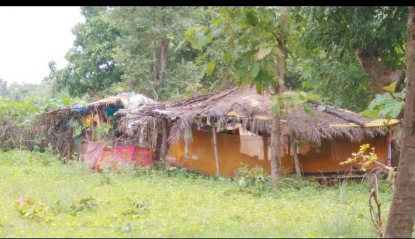 जंगल से अवैध कब्जा हटाने की मांग, कार्रवाई नहीं हुई तो ग्रामीणों ने भी कब्जा शुरू किया