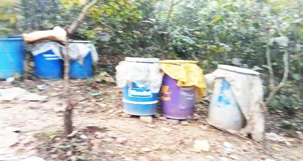 भगोरा जंगल में पुलिस की दबिश , 12 ड्रम महुआ पास किया नष्ट  