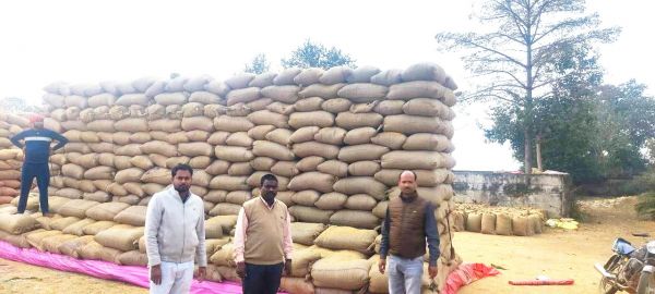 जिले में साढ़े 33 हजार से अधिक किसानों नेे बेचा धान
