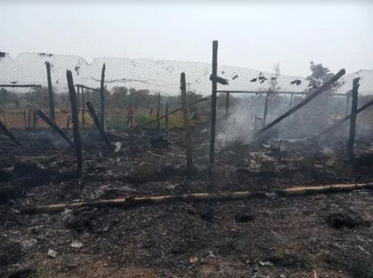 शॉर्ट सर्किट से मुर्गी फॉर्म में आग, हजारों जिंदा जली