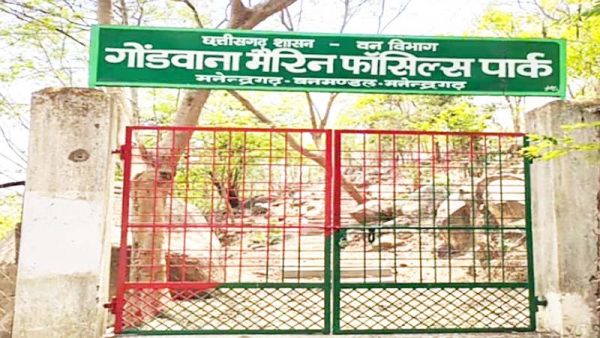 भू-वैज्ञानिकों के लिए शोध का विषय है मनेंद्रगढ़ का राष्ट्रीय मरीन गोंडवाना फॉसिल्स पार्क