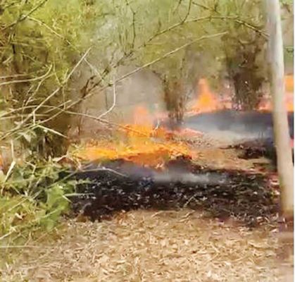  जंगल में लगी आग, 3 घंटे की मशक्कत के बाद काबू