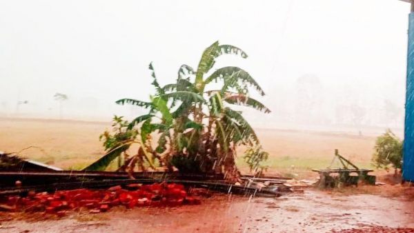 बारिश-तूफान से कई जगह पेड़ गिरे,  टूटे तार, तीन घंटे तक ब्लैक आउट 