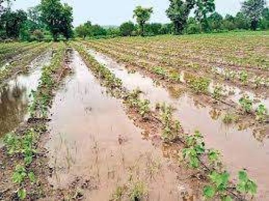 सीमेंट संयंत्र का दूषित पानी खेतों में,  किसानों को बुवाई की चिंता सताने लगी