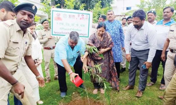 अंबिकापुर विधायक ने एक पेड़ मां के नाम के तहत किया पौधारोपण