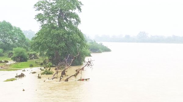 भारी बारिश से हालात बेकाबू, शिवनाथ की  धार अब भी तेेज, खेतों के लिए बढ़ा खतरा