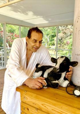 फ़िल्म अभिनेता धर्मेंद्र ने वैलेंटाइन डे के पहले गाय के साथ अपनी यह तस्वीर पोस्ट की है